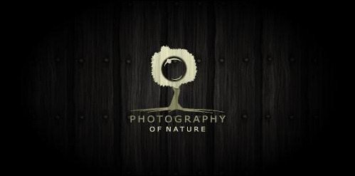 Photography-of-nature
