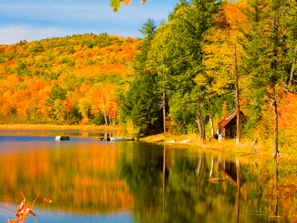 Athens Pond - Vermont