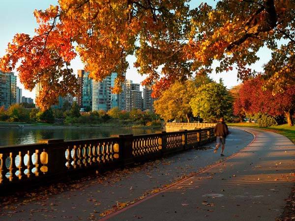 Morning Jog, Stanley Park, Vancouver
